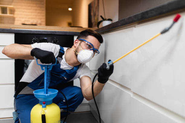 Best Wasp Removal Services  in Aledo, IL