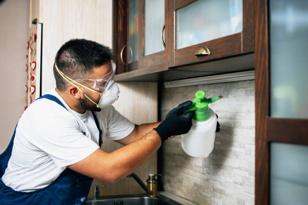 Best Ant Control Services  in Aledo, IL