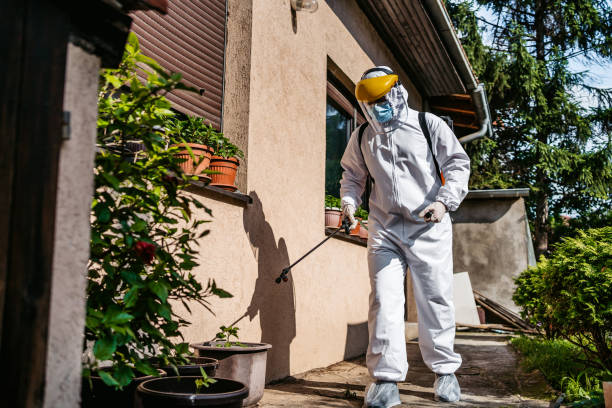Best Rodent Control Near Me  in Aledo, IL