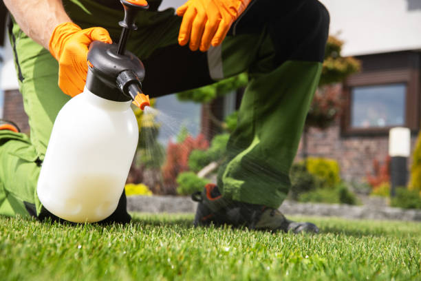 Best Bird Control  in Aledo, IL