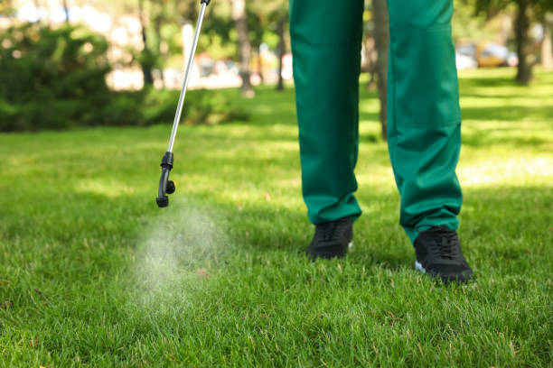 Best Rodent Control Near Me  in Aledo, IL