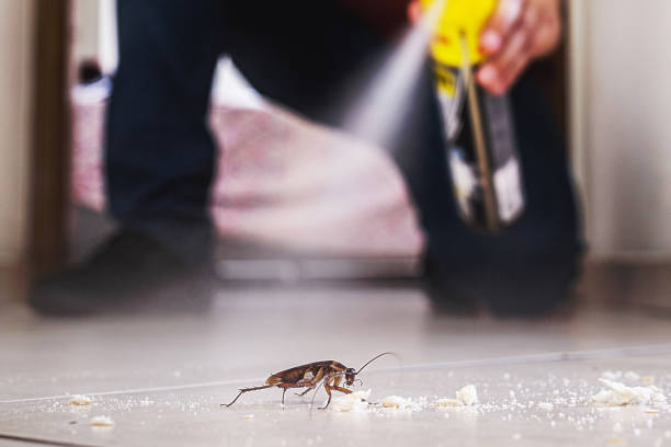 Best Best Pest Control Companies  in Aledo, IL