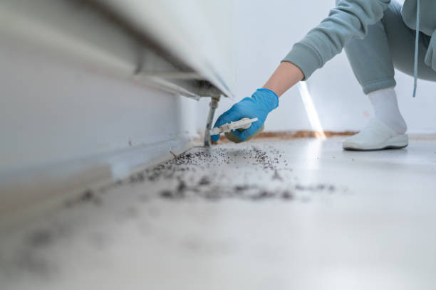 Best Exterminator Services  in Aledo, IL