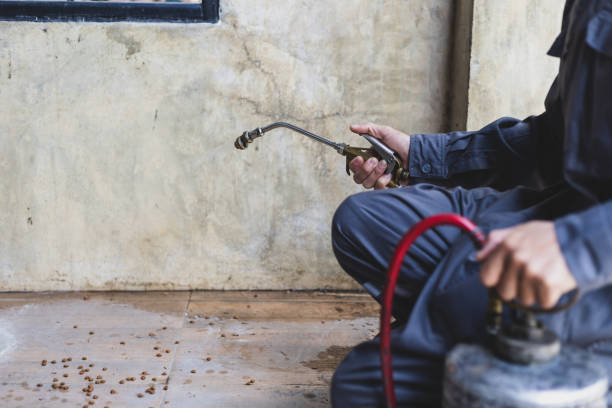 Best Pest Control Near Me in Aledo, IL